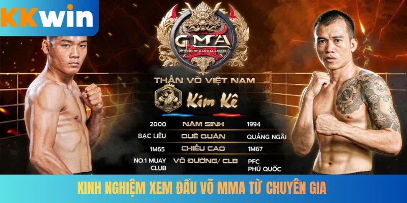 Kinh nghiệm xem đấu võ MMA từ chuyên gia